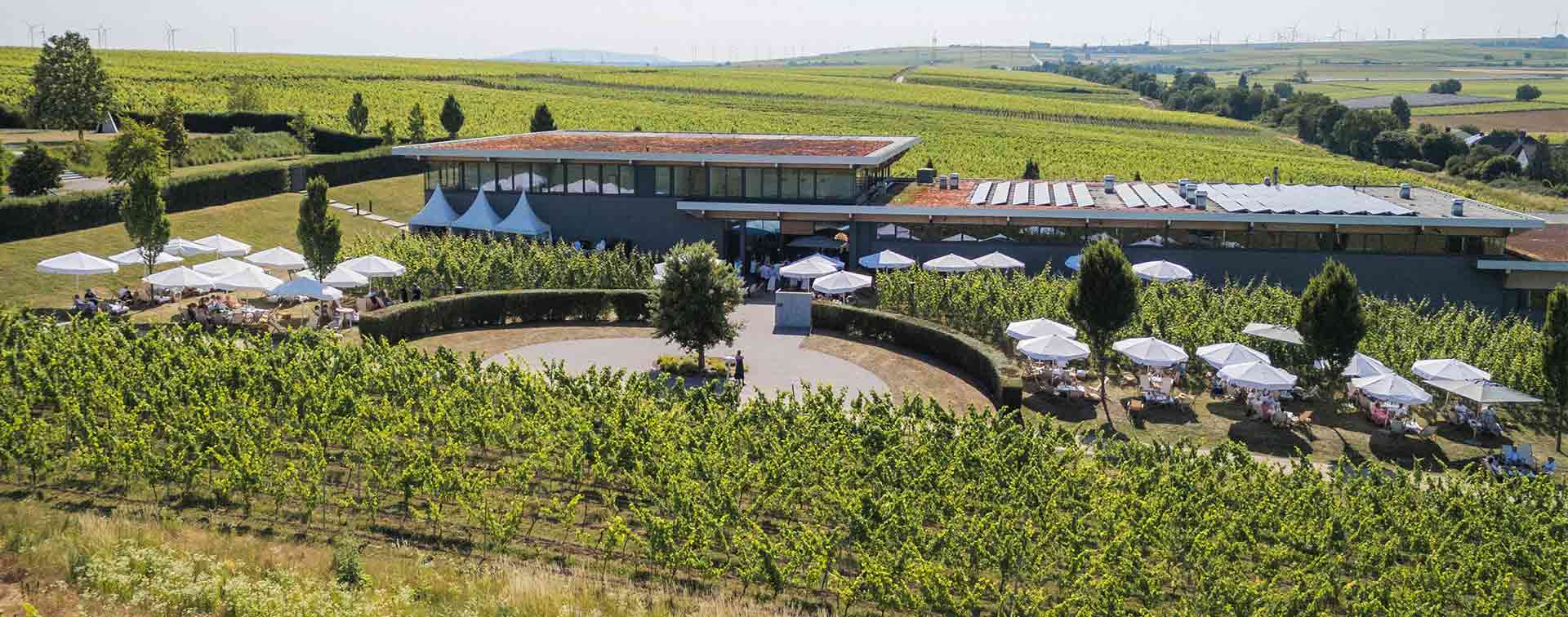 Open Vineyard 2026