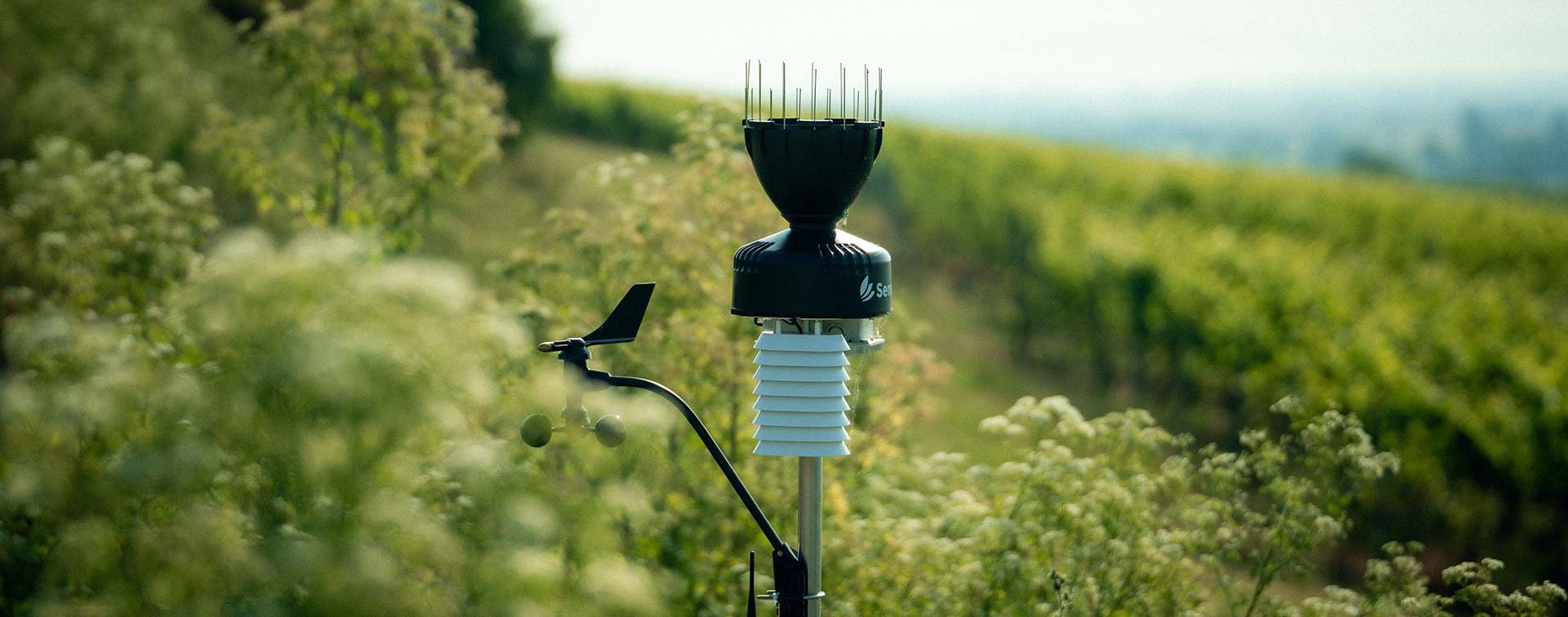 Digitale Helfer im Weinberg