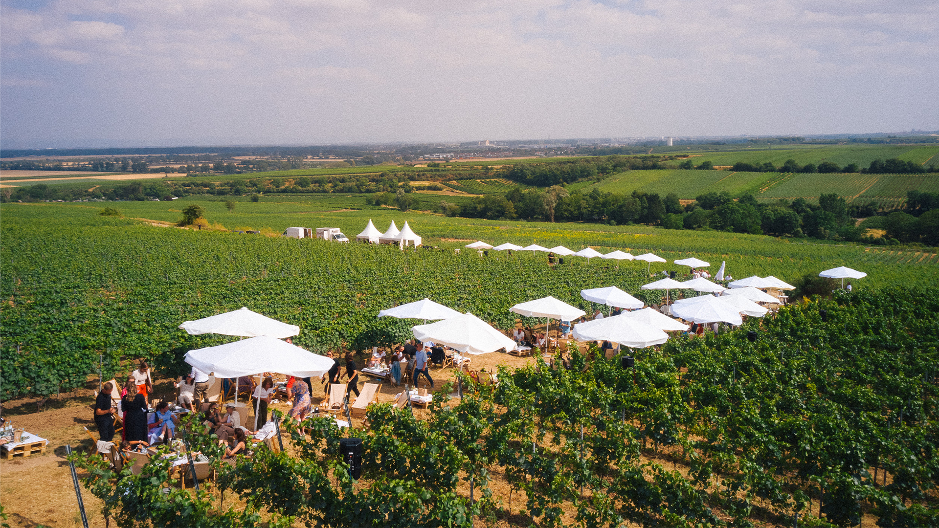 Open Vineyard 2023