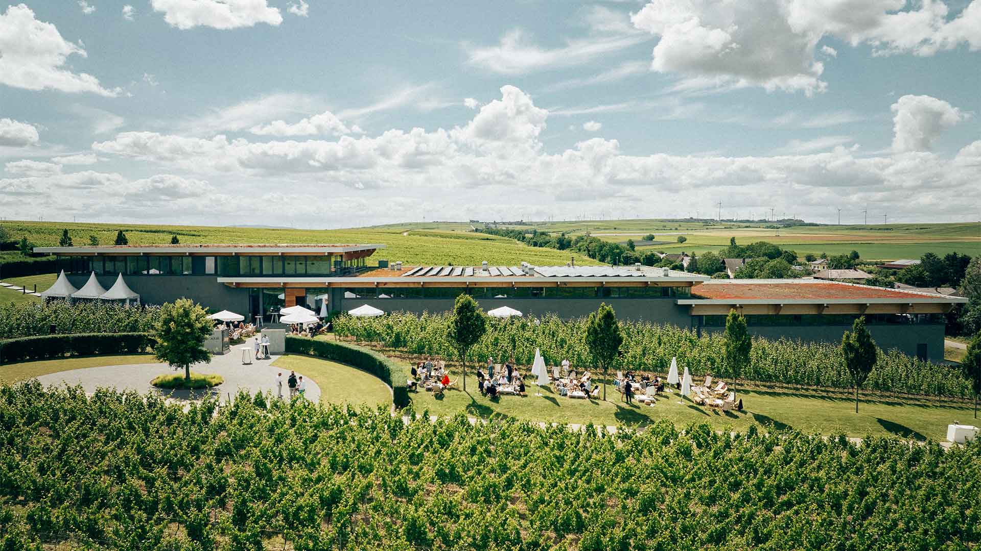 Open Vineyard 2024
