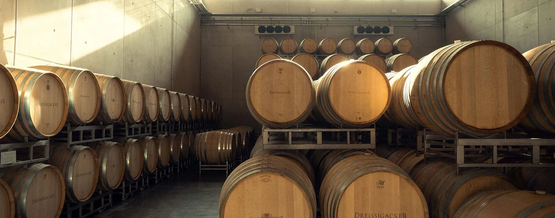 Der Wein-Jahrgang 2025