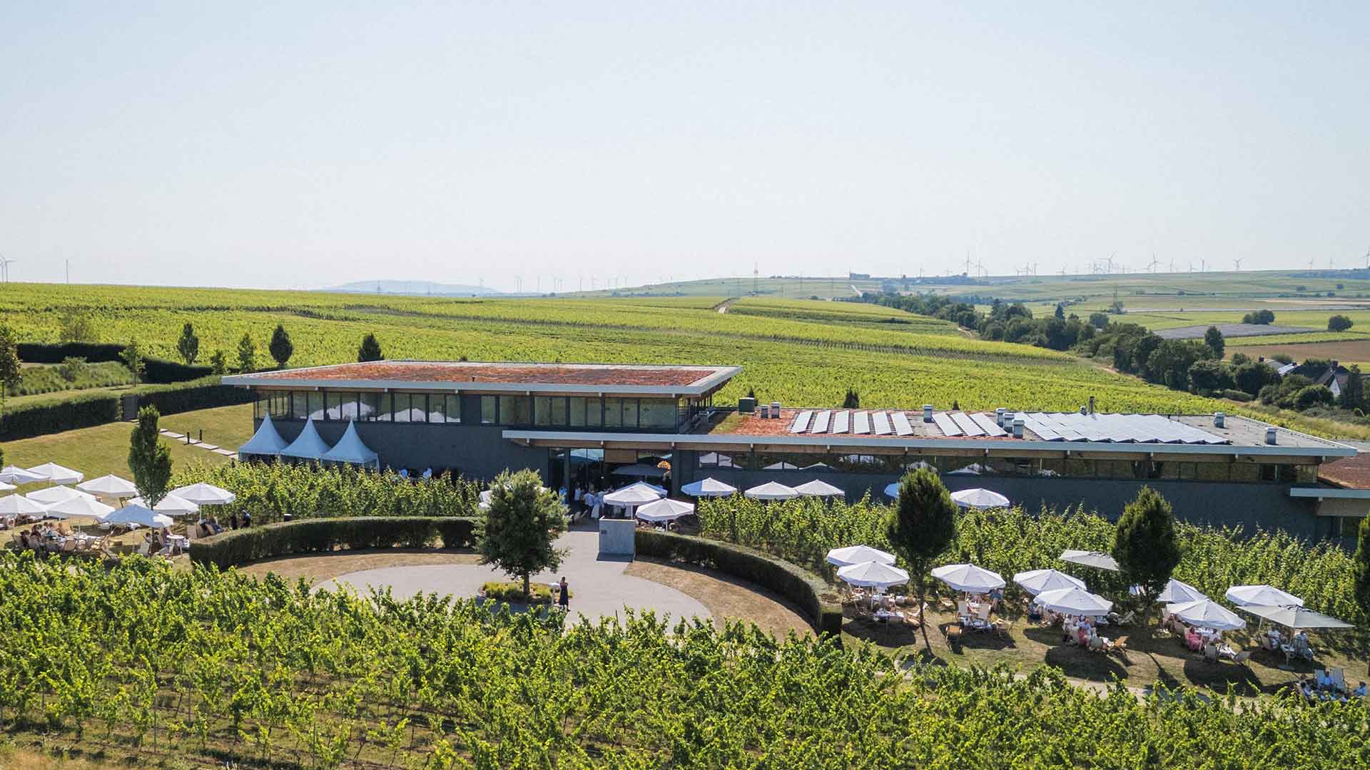 Open Vineyard 2025