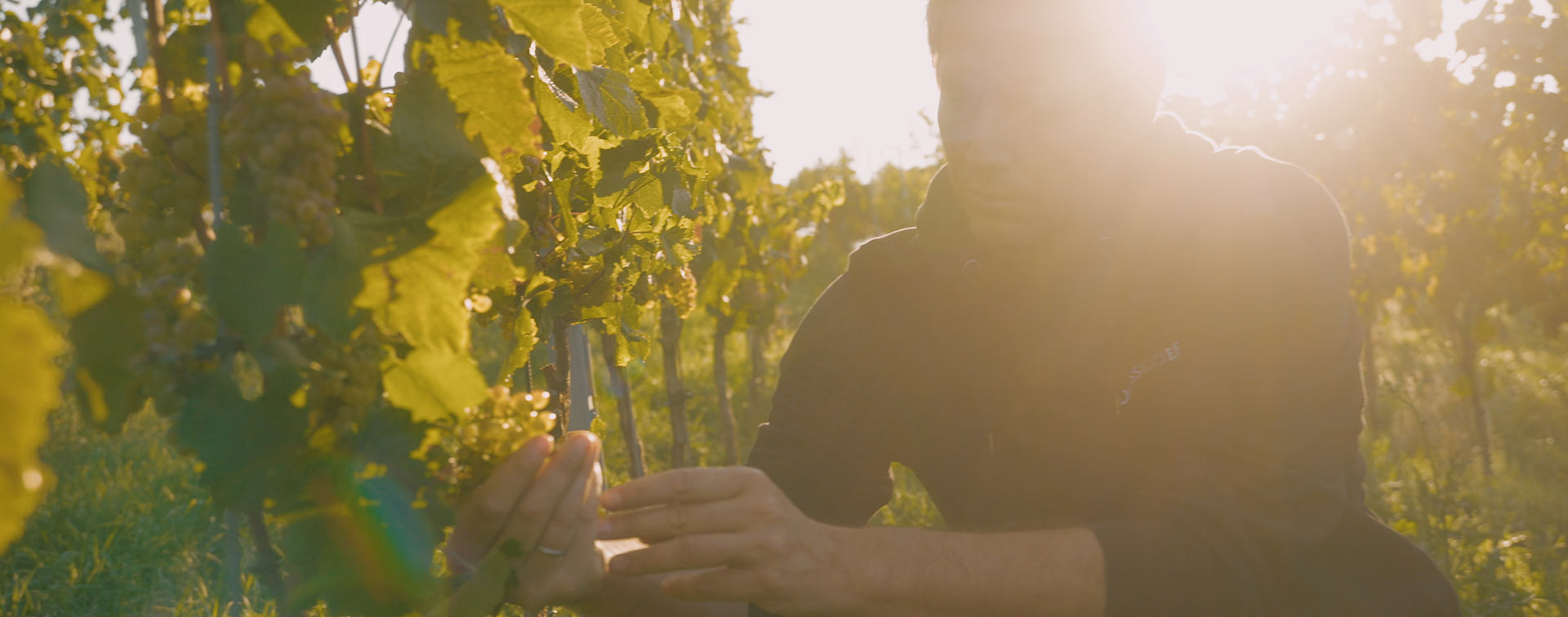 Bechtheim Riesling Ortswein 2020