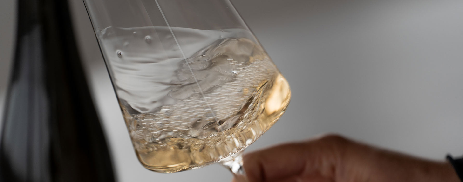Livetasting Vintage 2025