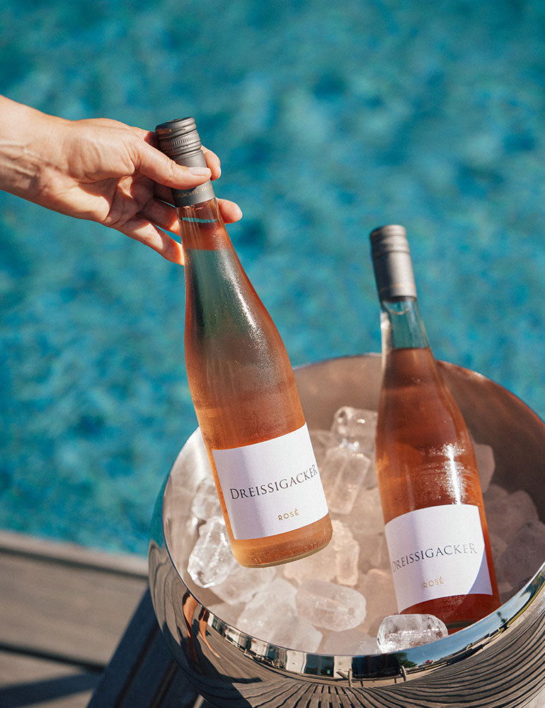 Rose_Gutswein_Weingut-Dreissigacker_Produktfoto