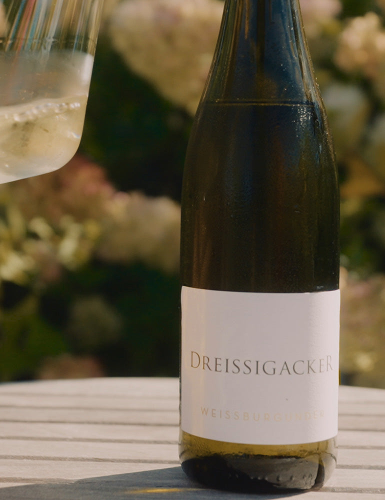 Weissburgunder_Gutswein_Weingut-Dreissigacker_Mood