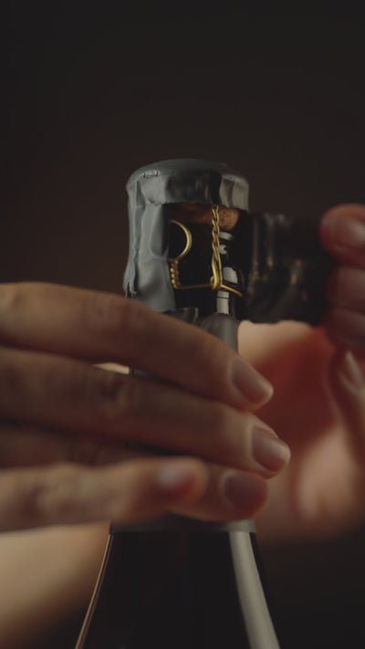 Riesling-Brut_Sekt_Weingut-Dreissigacker_Video-hoch