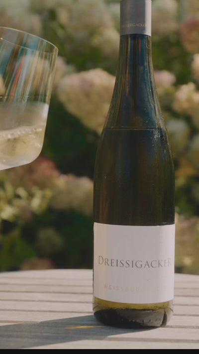 Weissburgunder_Gutswein_Weingut-Dreissigacker_Video-hoch