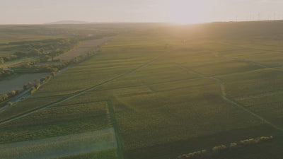 Wunderwerk-Grauburgunder_Wunderwerk_Weingut-Dreissigacker_Video-quer