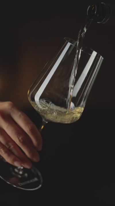 Westhofen-Chardonnay_Ortswein_Weingut-Dreissigacker_Video-hoch