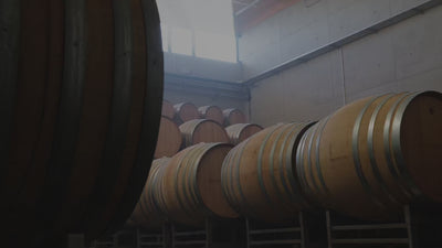 Weissburgunder_Gutswein_Weingut-Dreissigacker_Video-quer