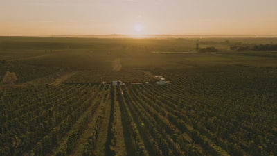 Wunderwerk-Spaetburgunder_Wunderwerk_Weingut-Dreissigacker_Video-quer