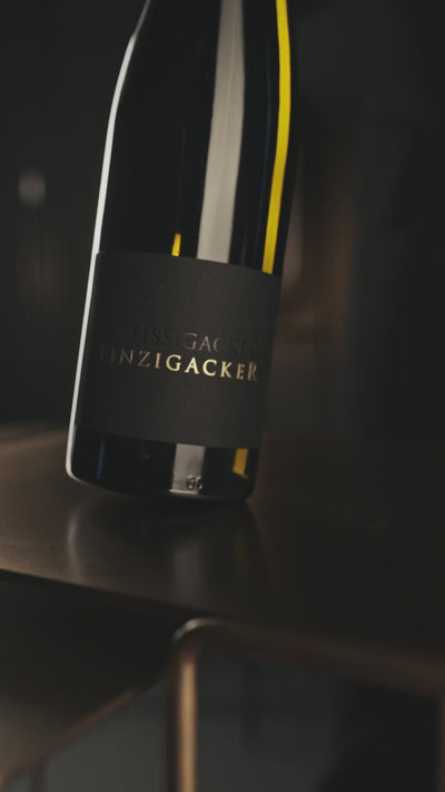 Einzigacker-Weissburgunder_Einzigacker_Weingut-Dreissigacker_Video-hoch