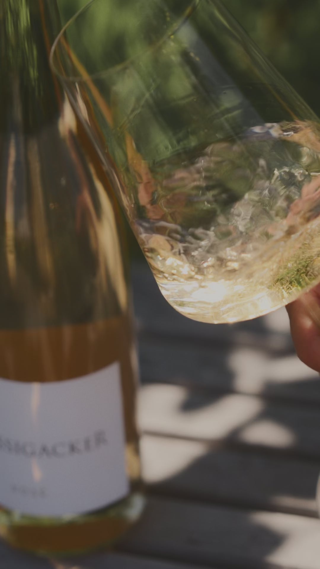 Rose_Gutswein_Weingut-Dreissigacker_Video-hoch