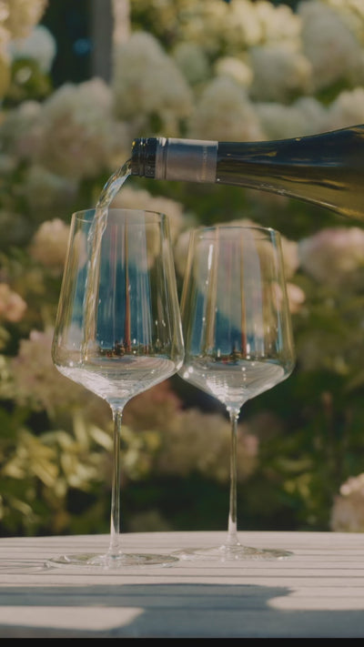 Chardonnay-Weissburgunder_Gutswein_Weingut-Dreissigacker_Video-hoch