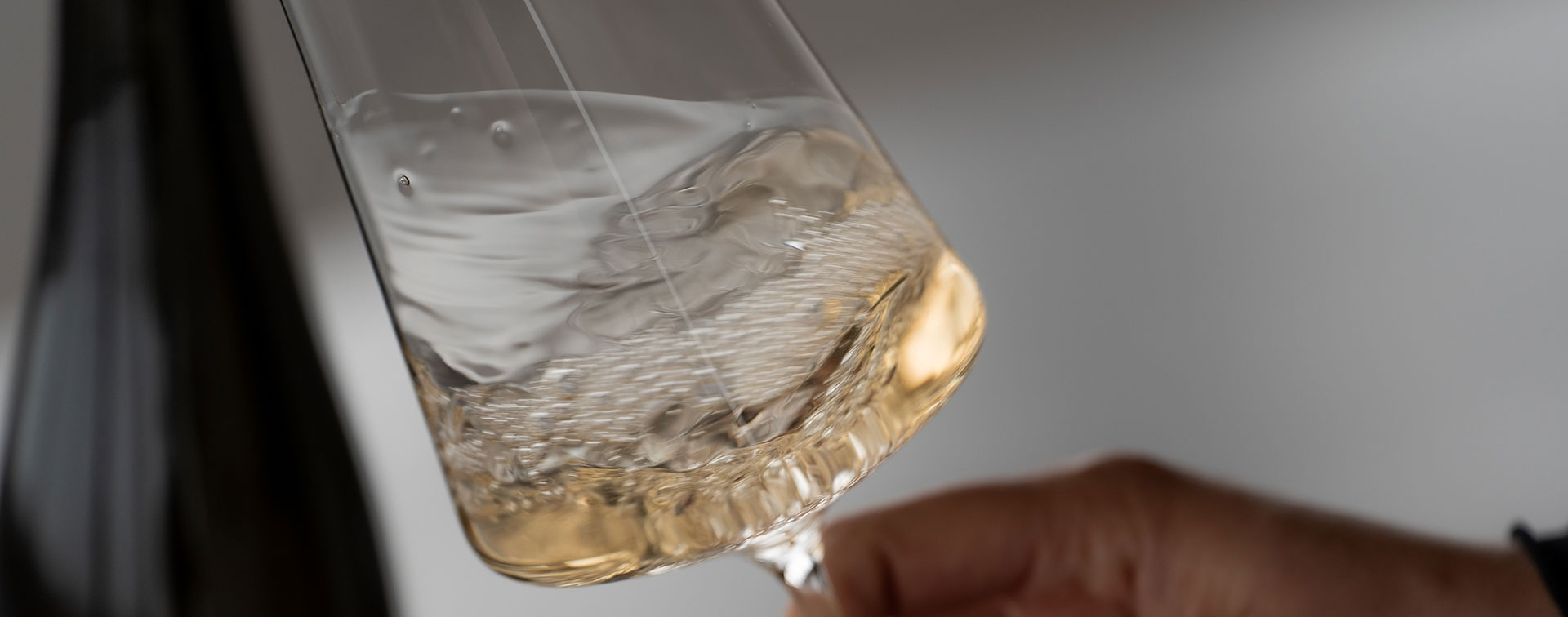 Schwenker Zwieselglas Allroundglas von Zwiesel in Kooperation mit Dreissigacker